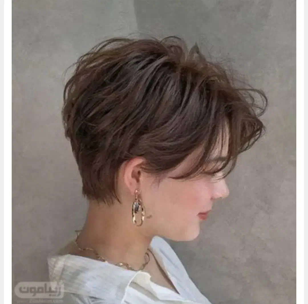 مدل برای کوتاهی مو رایگان زیرنظر مربی|خدمات آرایشگری و زیبایی|خورموج, |دیوار