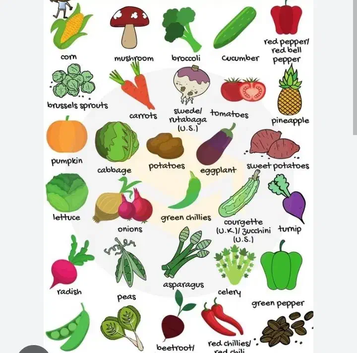 رستوران /آبمیوه فروشی ها /میوه فروشها|کافیشاپ و رستوران|تهران, میدان میوه و ترهبار مرکزی|دیوار