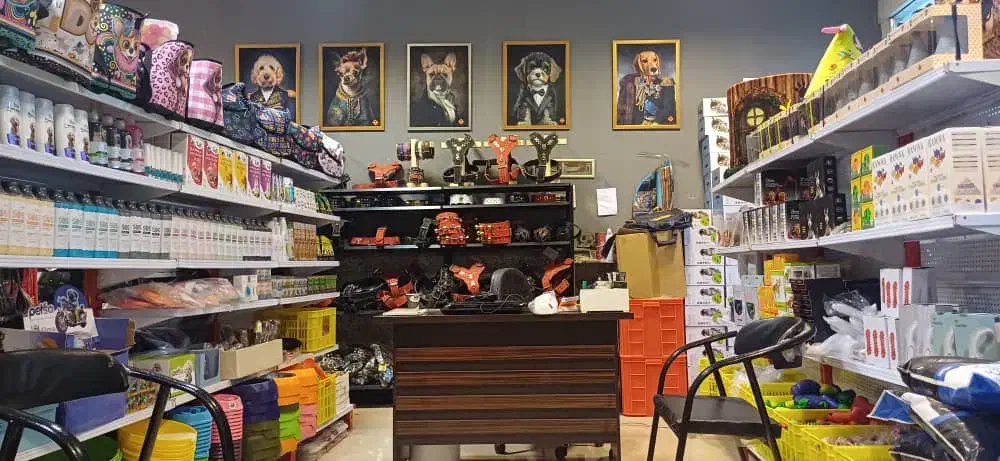 پخش ملزومات حیوانات خانگی جیلی پت|لوازم جانبی حیوانات|فریدون‌کنار, |دیوار