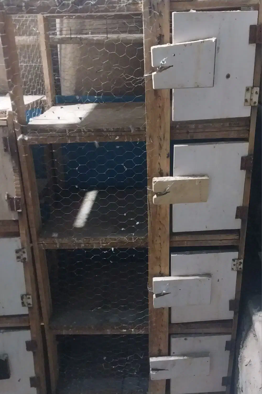 قفس جفت کن کبوتر چهار طبقه|لوازم جانبی حیوانات|اصفهان, شهید رجایی|دیوار