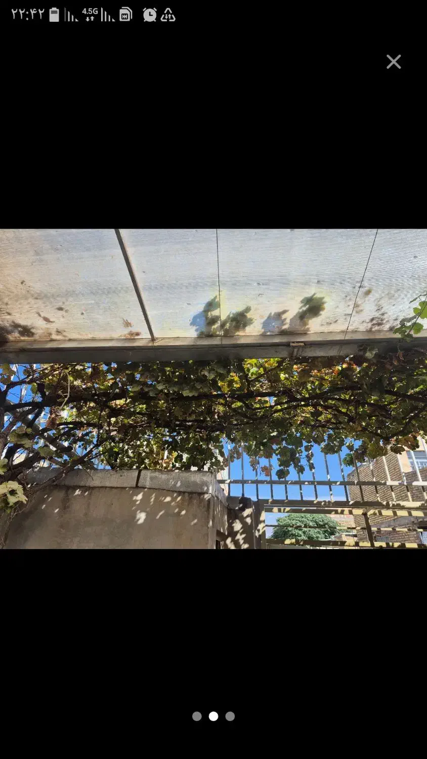 هرس.سمپاشی اصلاح خاک|خدمات باغبانی و درختکاری|نیشابور, مدرس|دیوار