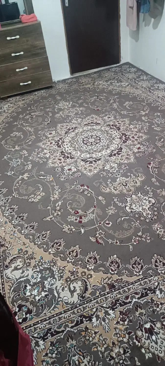 فرش ۱۲متری|فرش|کرمانشاه, |دیوار