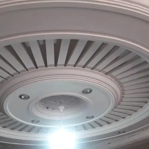 سفید کار|خدمات پیشه و مهارت|کامفیروز, |دیوار