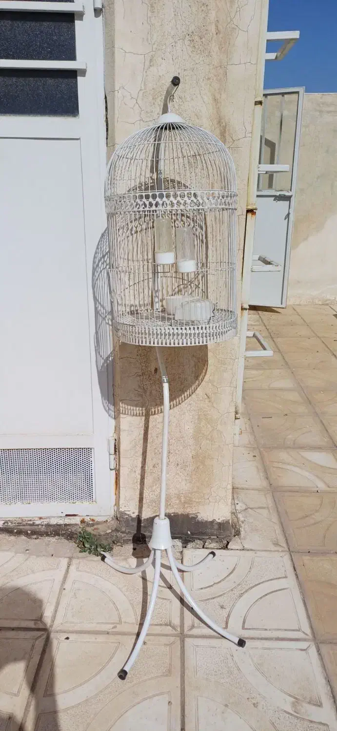 قفس پرنده|لوازم جانبی حیوانات|نیشابور, شهرک ولیعصر|دیوار