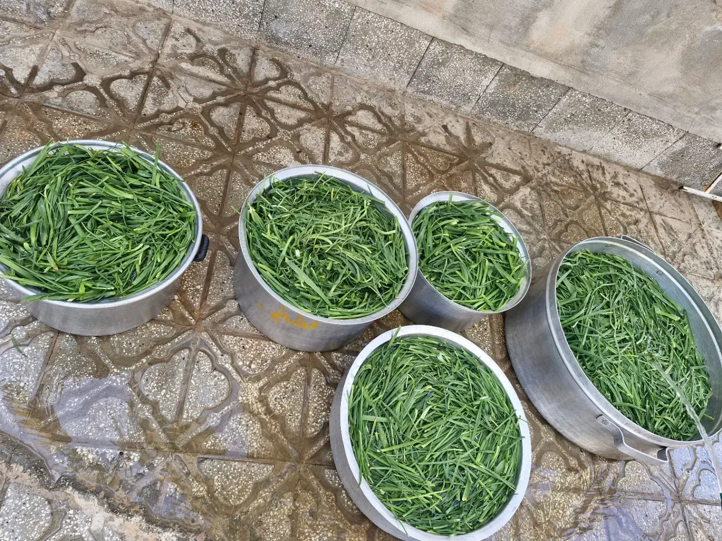 سبزی خورشتی|خوردنی و آشامیدنی|تهران, نیروی دریایی|دیوار