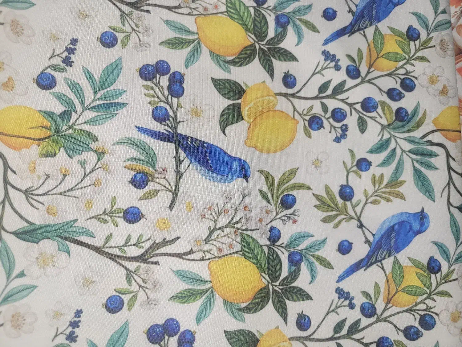 سفره های پارچه ای|سفره، حوله، دستمال آشپزخانه|اندیشه, اندیشه فاز ۱|دیوار