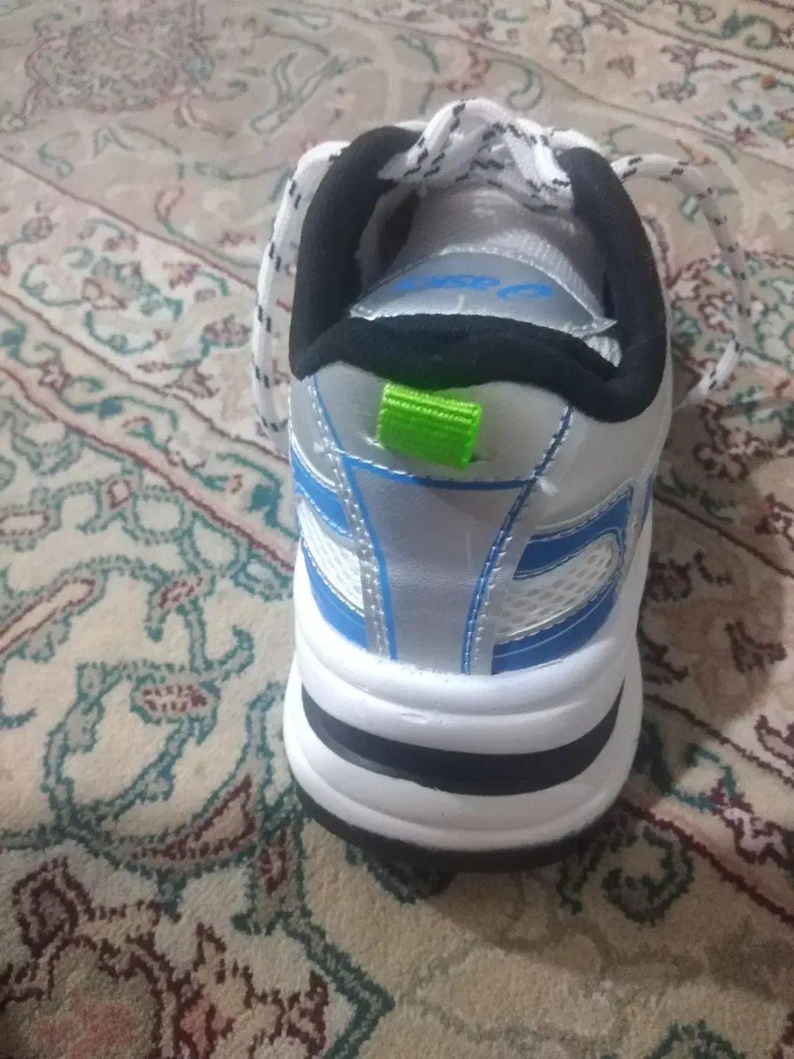 کفش نو|کیف، کفش، کمربند|شیراز, لشکری‎|دیوار