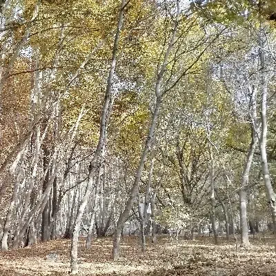 ورزش|فعالیت داوطلبانه|تهران, فرزانه|دیوار