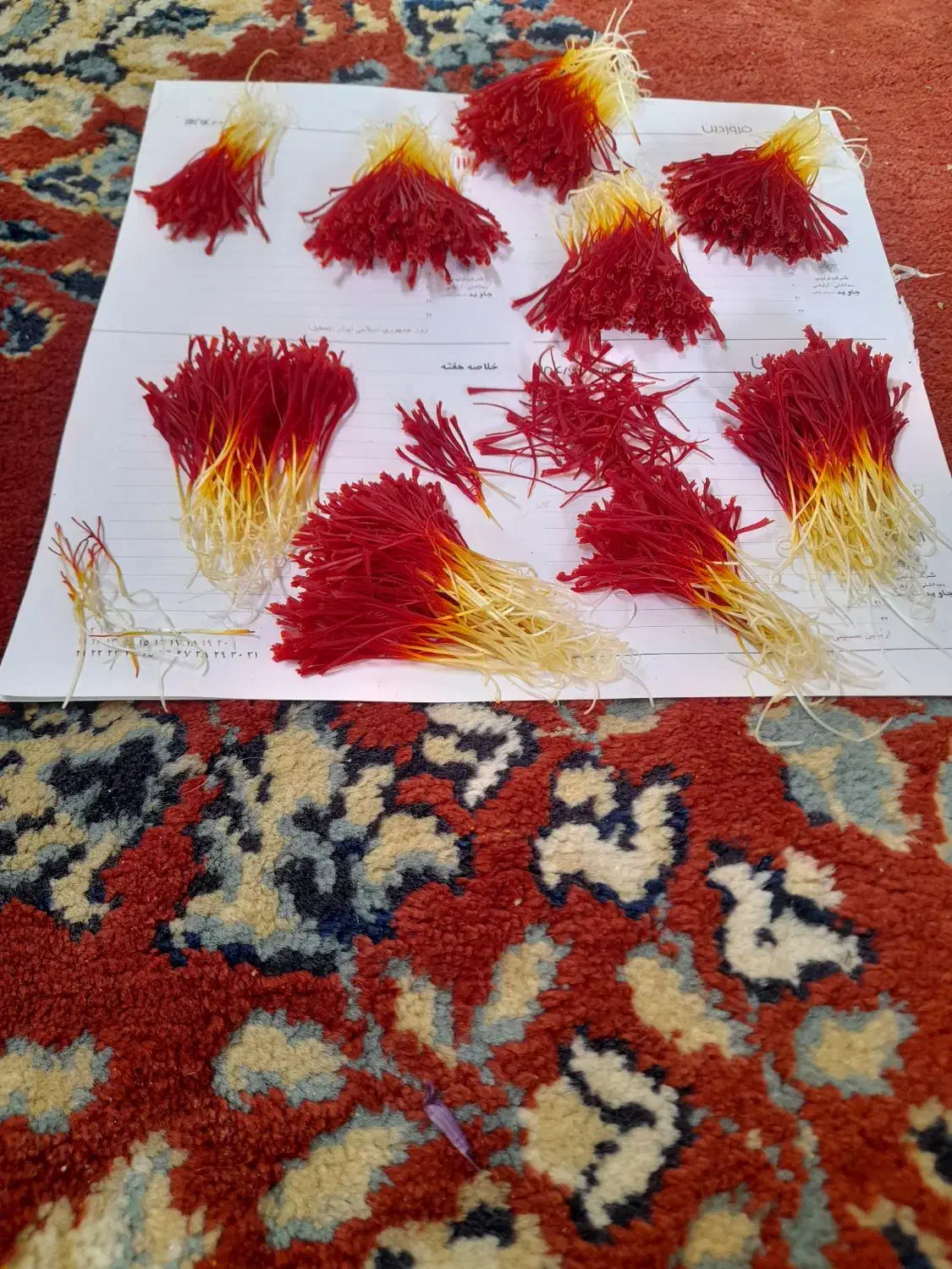 زعفران بیرجند|خوردنی و آشامیدنی|شاهین‌شهر, فردوسی|دیوار