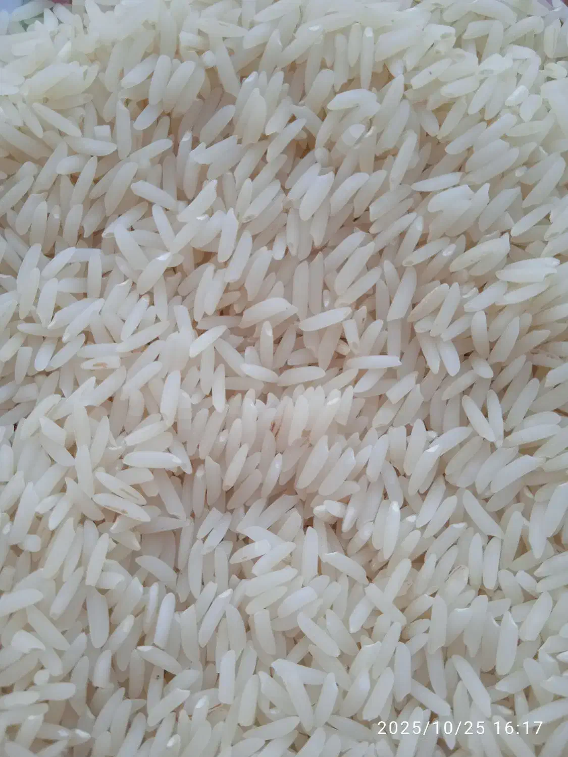 فروش برنج هاشمی اصل|خوردنی و آشامیدنی|پارسآباد, |دیوار