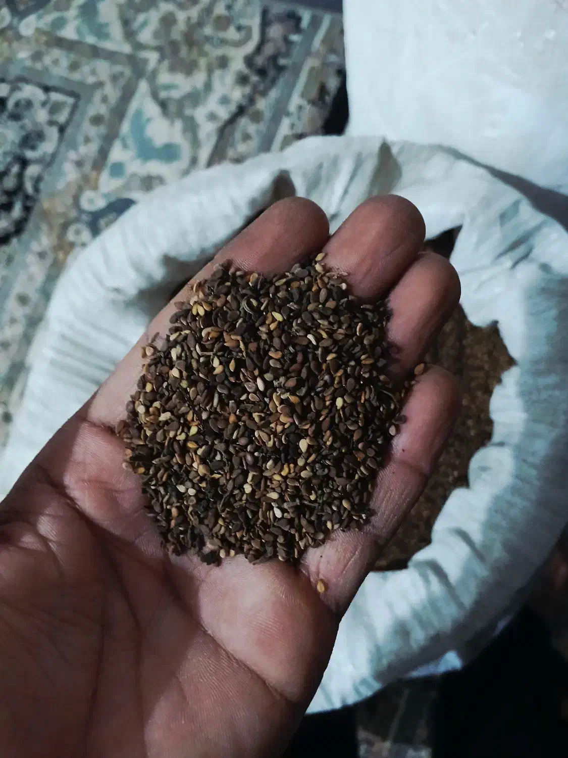 کنجد|عمده‌فروشی|کهنوج, |دیوار