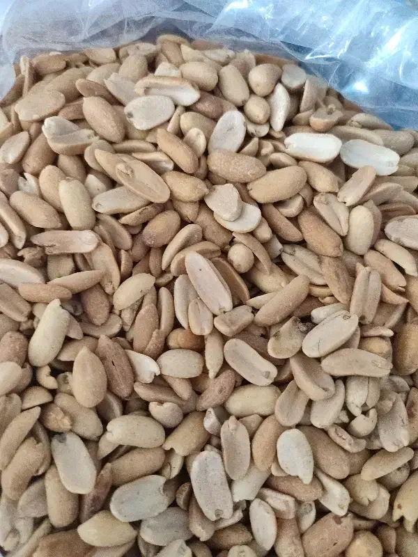 آجیل بادام زمینی بادام درختی گردو مغز گردو انجیر|خوردنی و آشامیدنی|قم, زنبیل آباد|دیوار