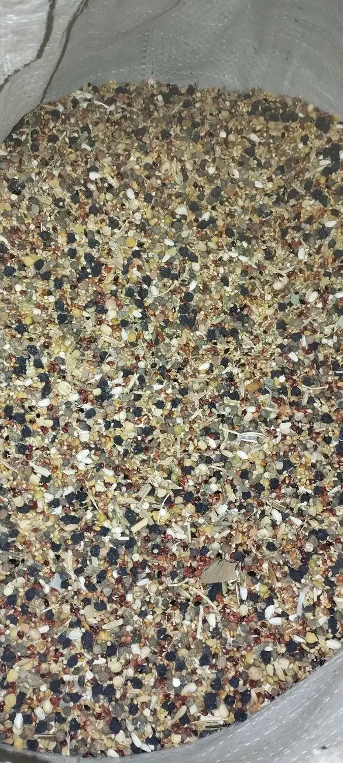 عدس|لوازم جانبی حیوانات|کبودرآهنگ, |دیوار