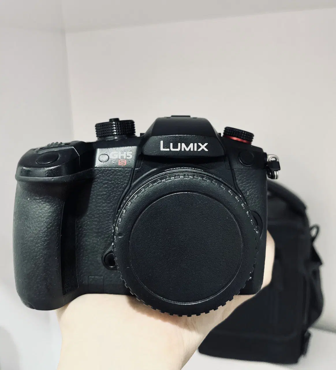 دوربین پاناسونیک GH5S|دوربین عکاسی و فیلمبرداری|تهران, پونک|دیوار
