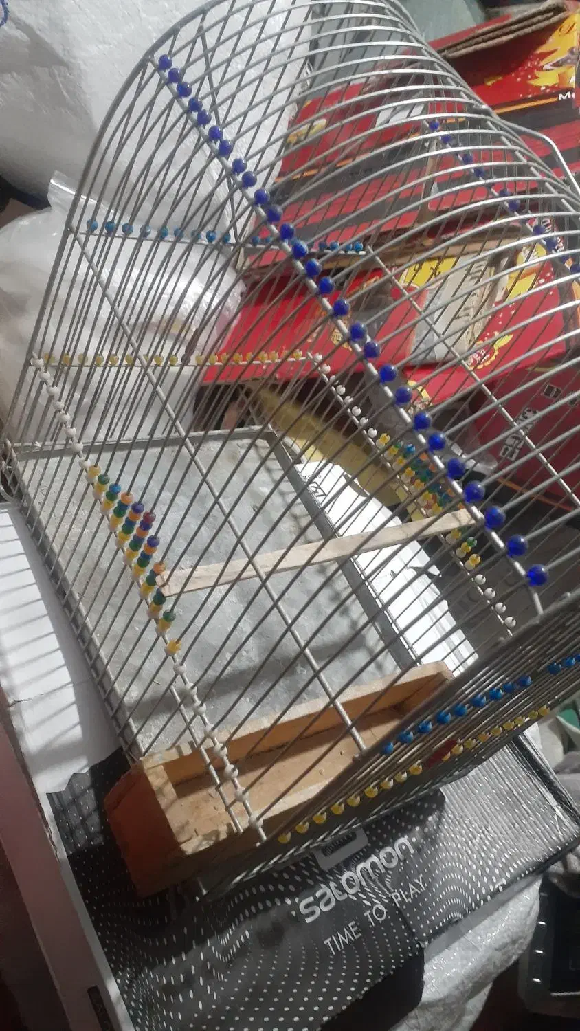 سلام|لوازم جانبی حیوانات|سنندج, |دیوار