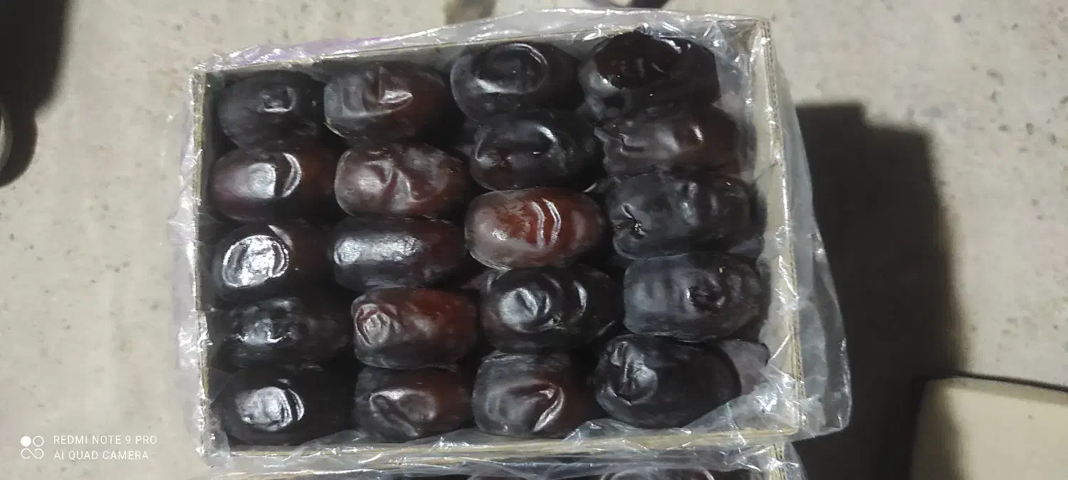 خرما کتابی درجه یک|خوردنی و آشامیدنی|سیب و سوران, |دیوار