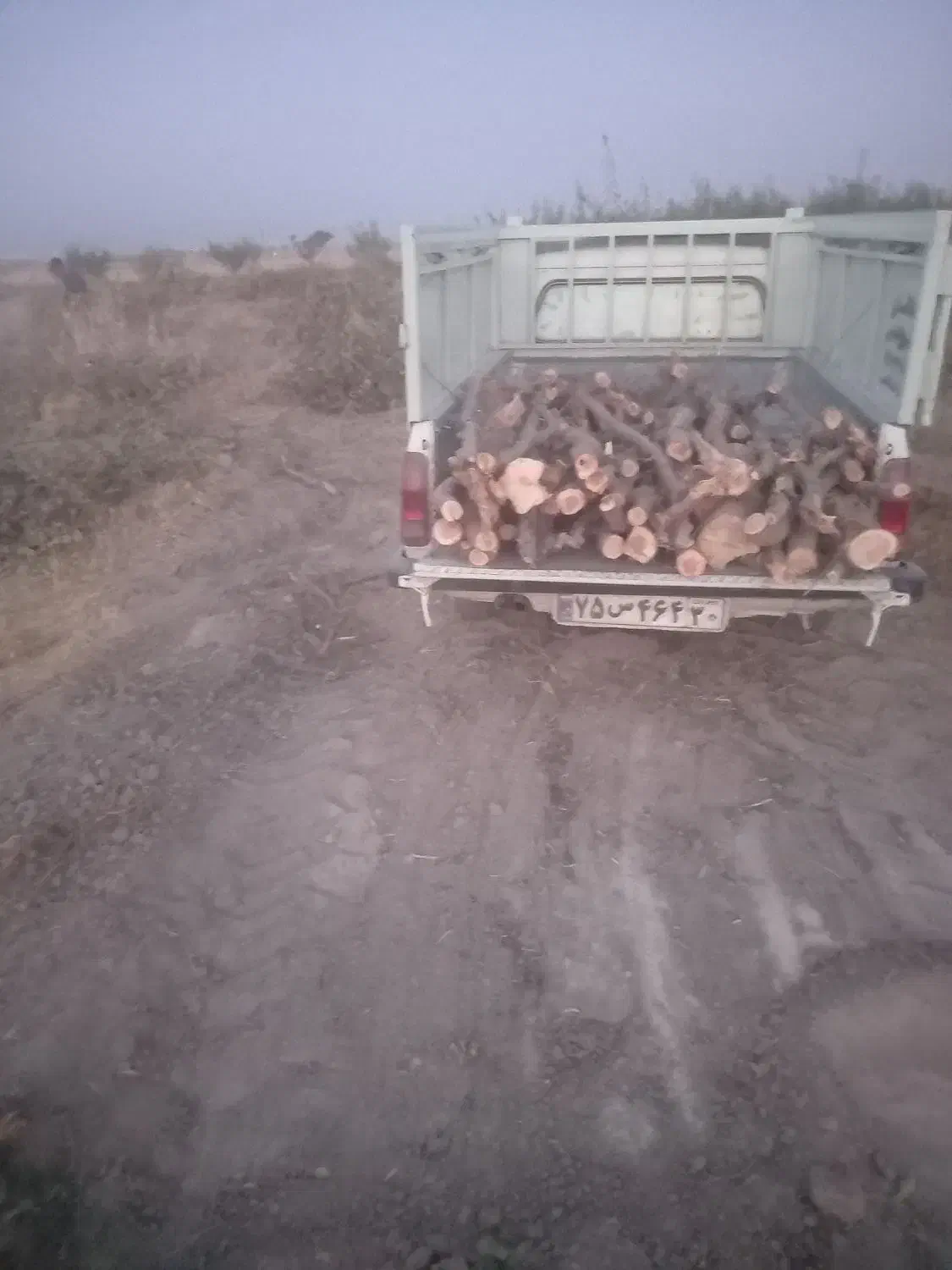 خرید و برش انواع چوب باغی|خدمات باغبانی و درختکاری|هشتگرد, شهرک گلها|دیوار