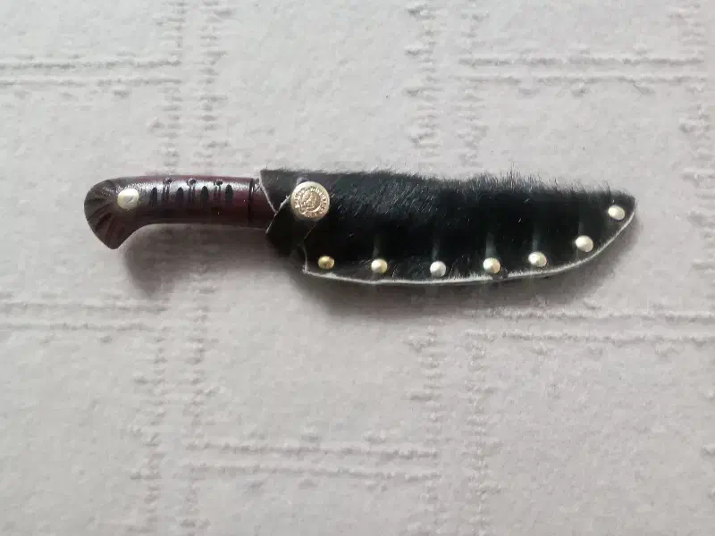 چاقو عناب|ابزارآلات|قم, باغ شریفی|دیوار