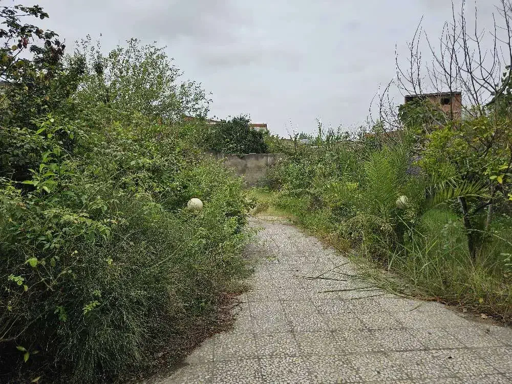 خواهان آپارتمان برای تهاتر با ویلا در شمال قائمشهر|فروش خانه و ویلا|قائمشهر, |دیوار