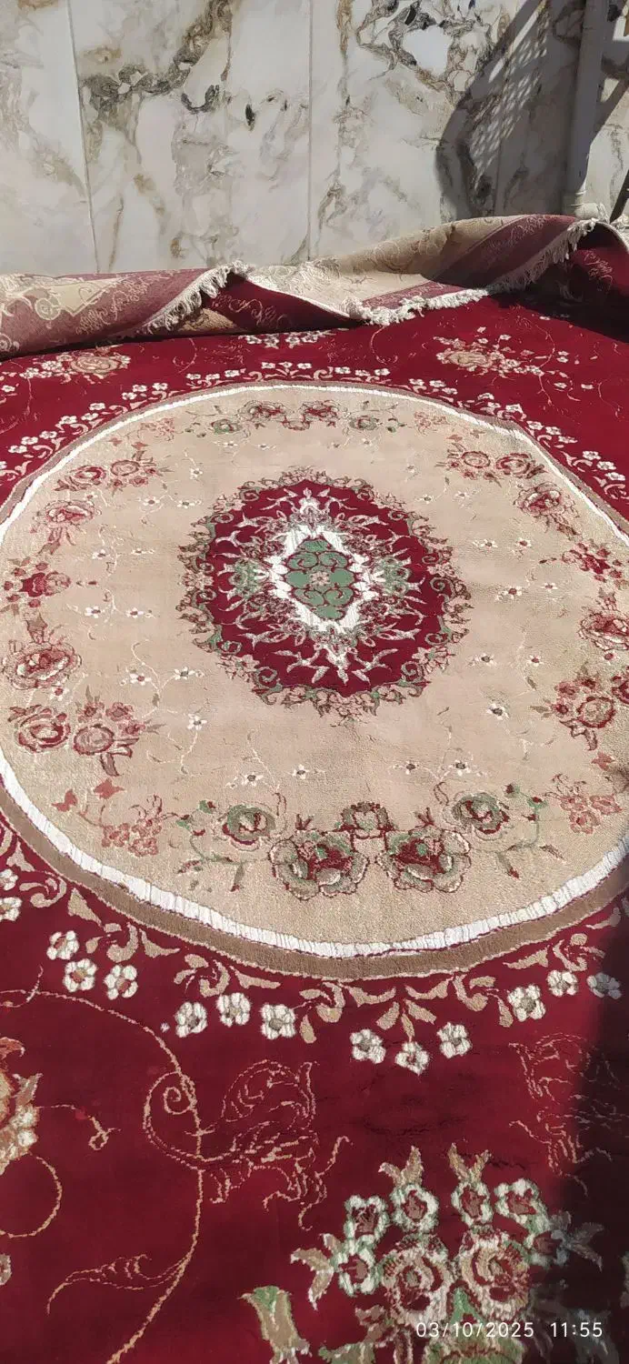 فرش ۱۲ متری|فرش|همدان, |دیوار