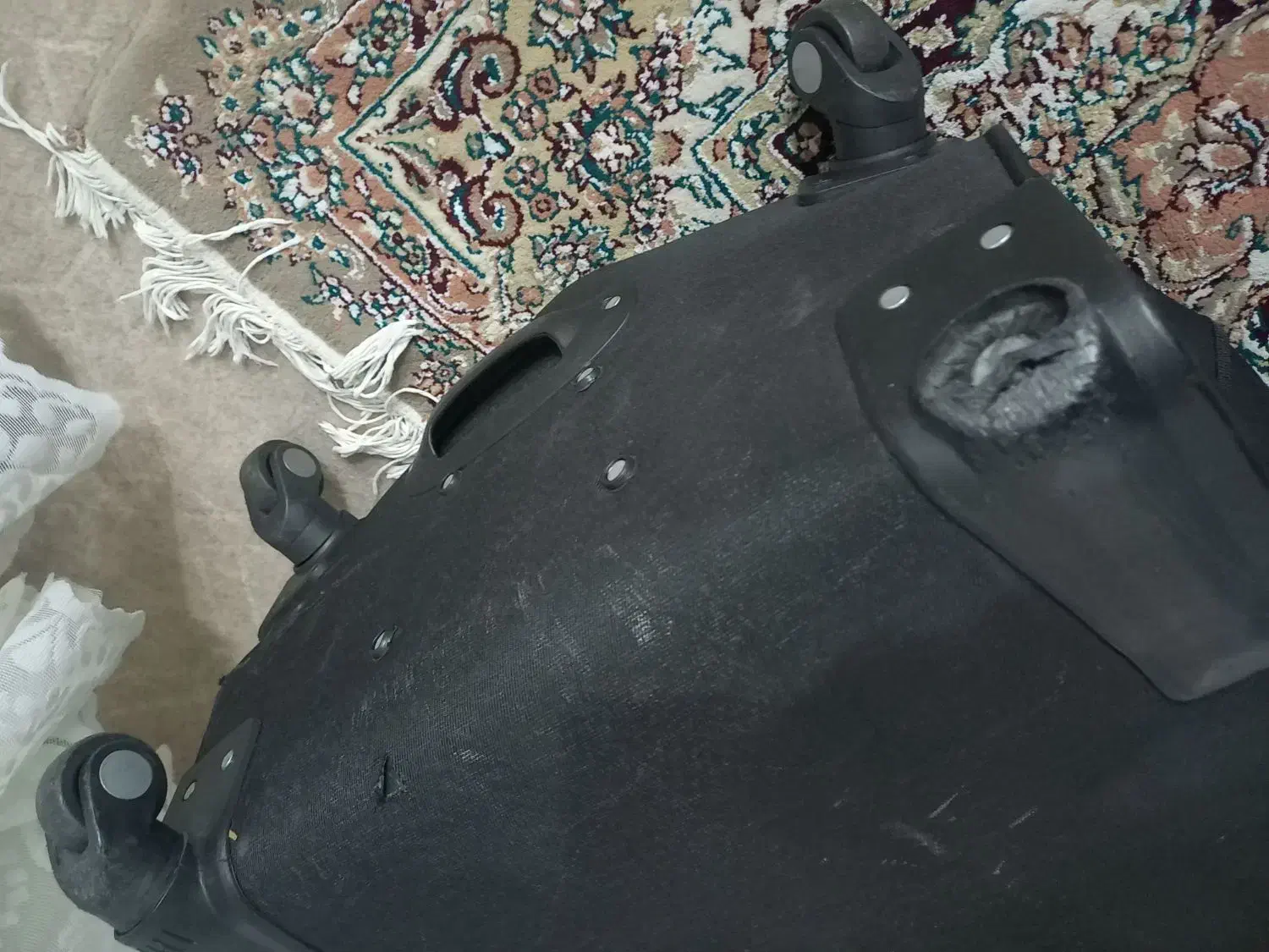 چمدان|کیف، کفش، کمربند|مشهد, طبرسی شمالی|دیوار