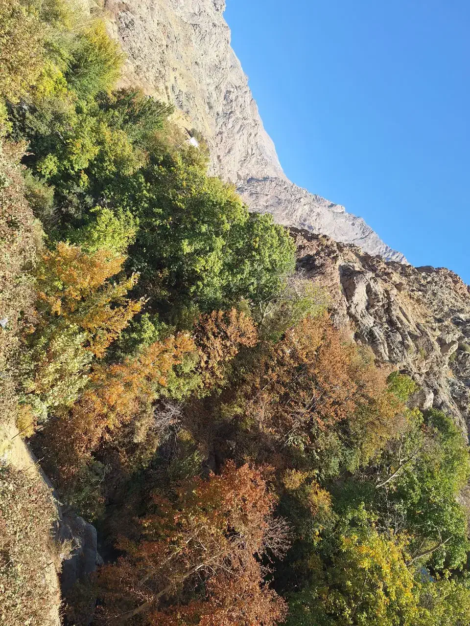 تور نیمروزه ی انگلیسی|تور و چارتر|فشم, |دیوار