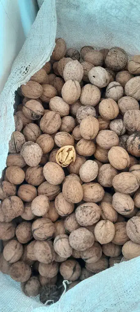 گردو|خوردنی و آشامیدنی|ماکو, |دیوار