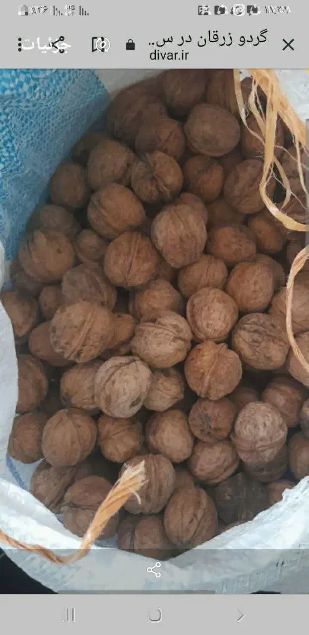 خرما صادراتی اصل بهبهان کیلو240|خوردنی و آشامیدنی|سبزوار, قاضی زاد|دیوار