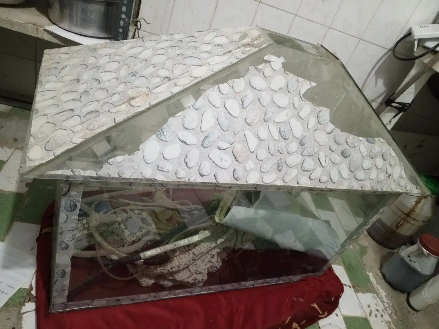 آکواریوم|ماهی|سوسنگرد, |دیوار