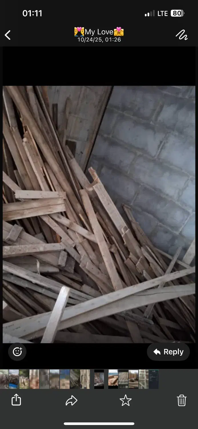 خرید چوب خشک ساختمانی و چوب نراد|خدمات باغبانی و درختکاری|رشت, دخانیات|دیوار