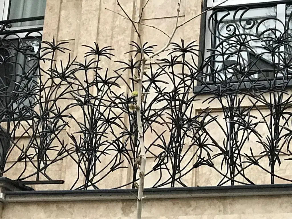 شاخ گوزنی ساخت و تولید|مصالح و تجهیزات ساختمان|قائم‌شهر, |دیوار