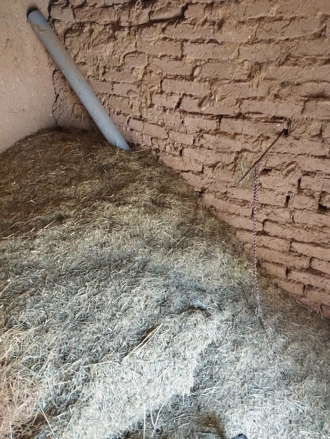 شیر ارپا|خدمات باغبانی و درختکاری|قیدار, |دیوار