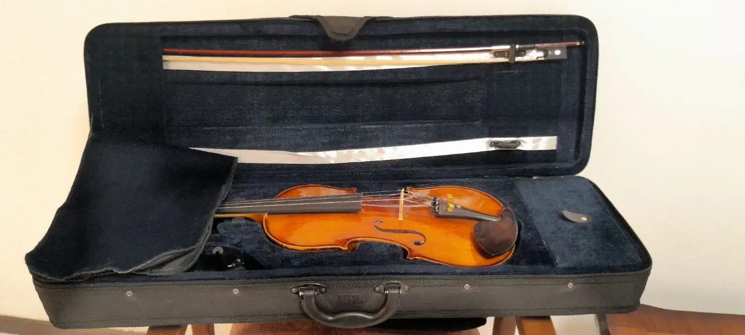 ویولن هافنر as180 سایز ۴/۴|ویولن|اصفهان, آبشار|دیوار