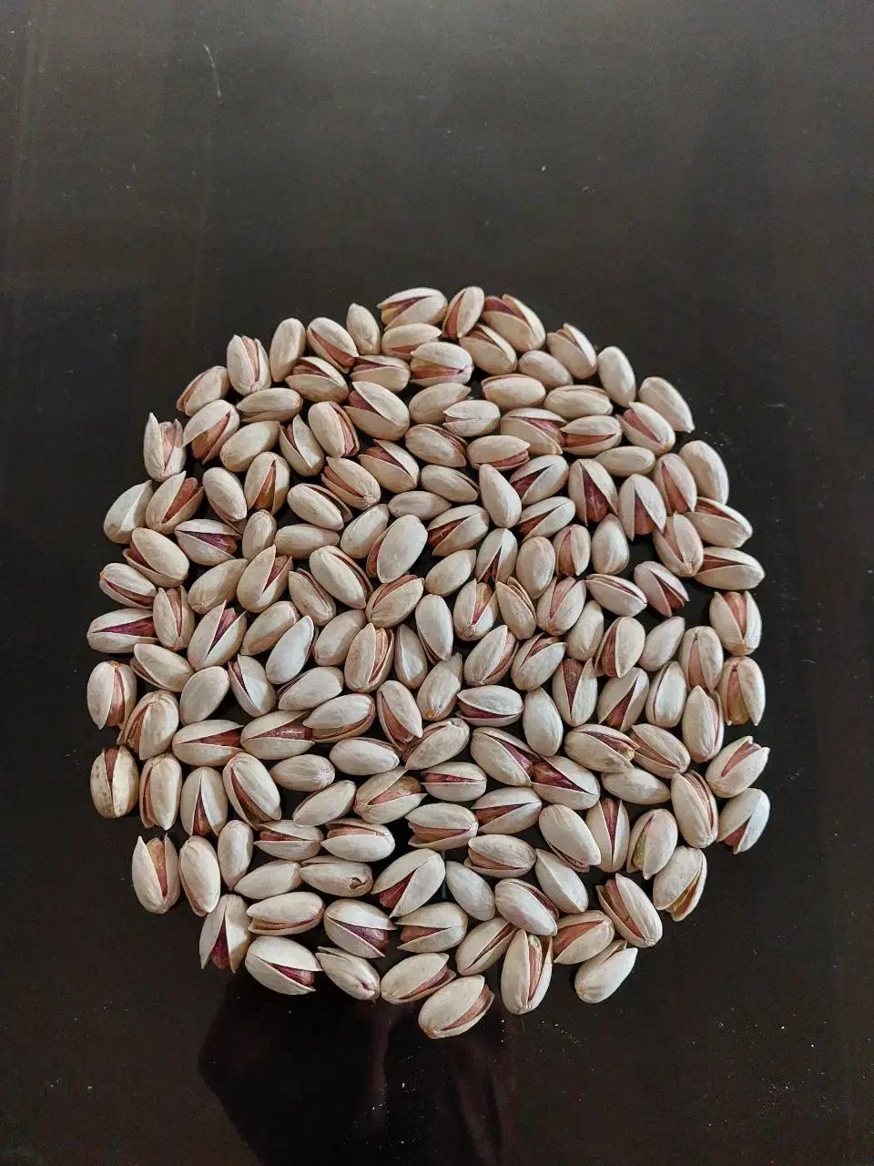 فروش عمده پسته|خوردنی و آشامیدنی|رشت, نظری|دیوار