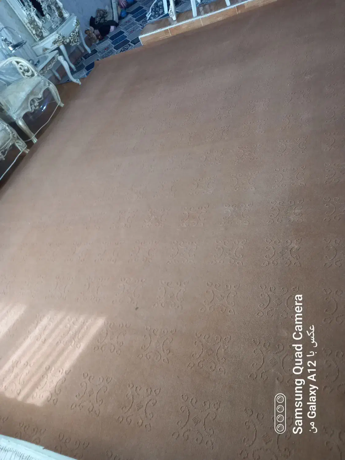 موکت و گلیم|گلیم، جاجیم، گبه|بندرعباس, |دیوار