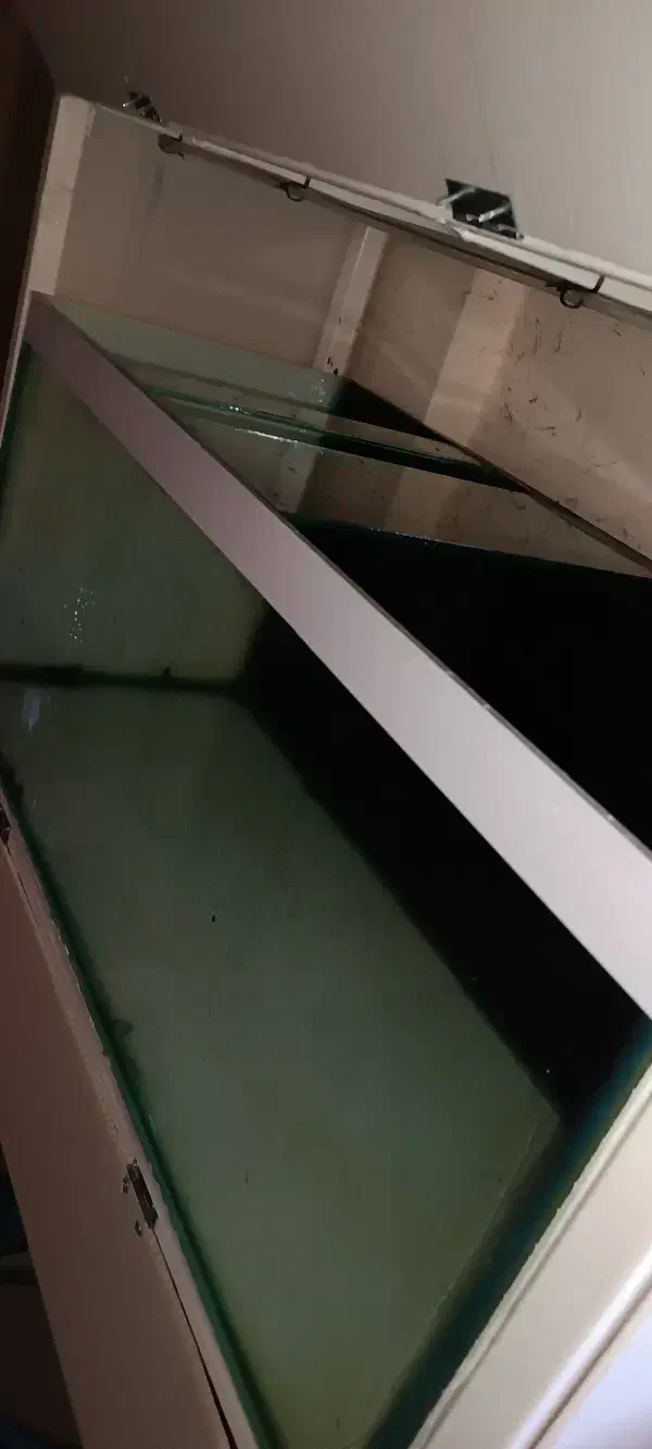 تانک 100*45*40|ماهی|صدرا-فارس, فاز ۲|دیوار