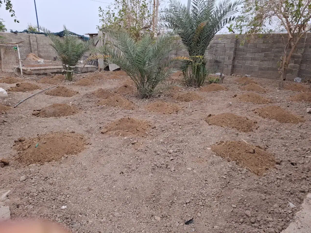 شخم زدن زمین باتیلر|خدمات باغبانی و درختکاری|آبادان, |دیوار