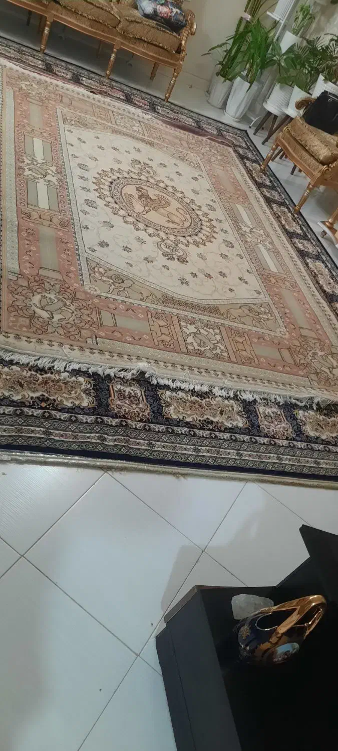 فروش فوری وسایل|فرش|پرند, فاز ۶|دیوار