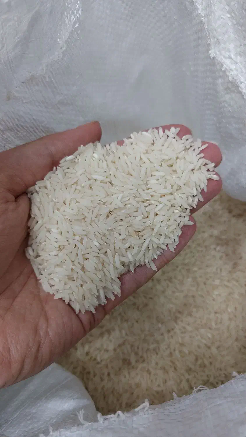 برنج هاشمی درجه یک سورتینگ شده|خوردنی و آشامیدنی|رشت, گلباغ نماز|دیوار