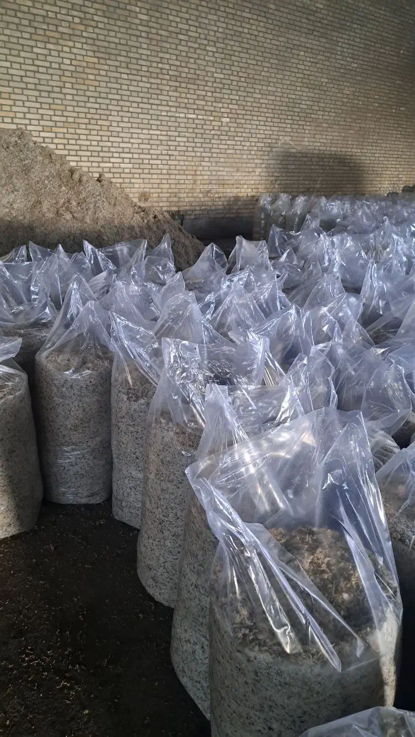 تفاله چغندرخشک فشنگی وتر بارطوبت کم باقیمت منصفانه|لوازم جانبی حیوانات|میاندوآب, |دیوار