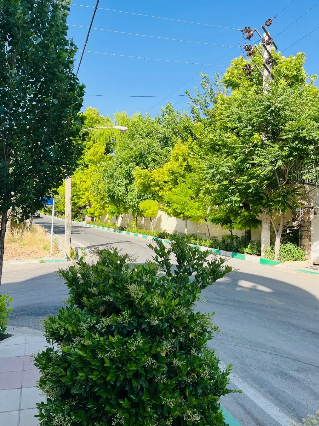 لواسان ناران ۷۵۰متر زمین ریشه پاک|فروش زمین و ملک کلنگی|لواسان, |دیوار