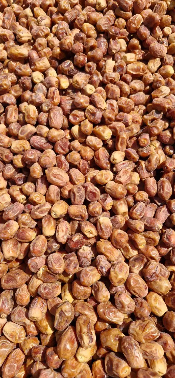 عمده فروشی خرما|خوردنی و آشامیدنی|تهران, یاخجی آباد|دیوار