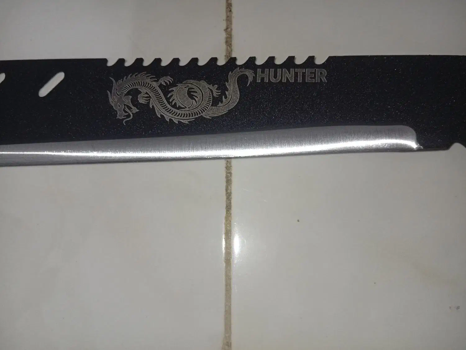 اصل زنجان با غلاف|کوهنوردی و کمپینگ|تهران, دستغیب|دیوار