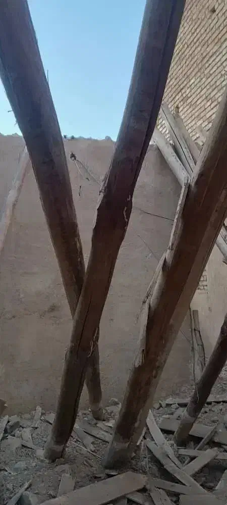 خرید انواع چوب تر و خشک خریدار|خدمات باغبانی و درختکاری|کرمانشاه, |دیوار