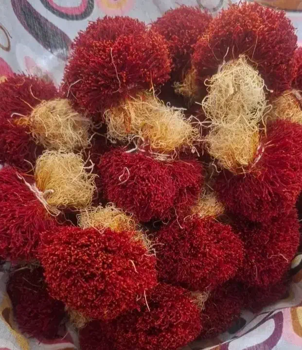 زعفران|خوردنی و آشامیدنی|فردوس (خراسان), |دیوار