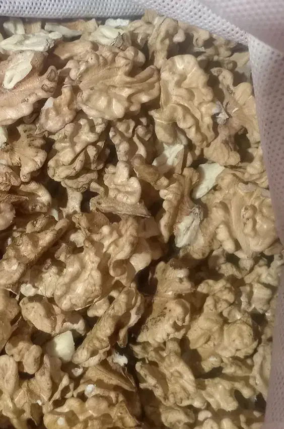 مغز گردو|خوردنی و آشامیدنی|زرند, |دیوار