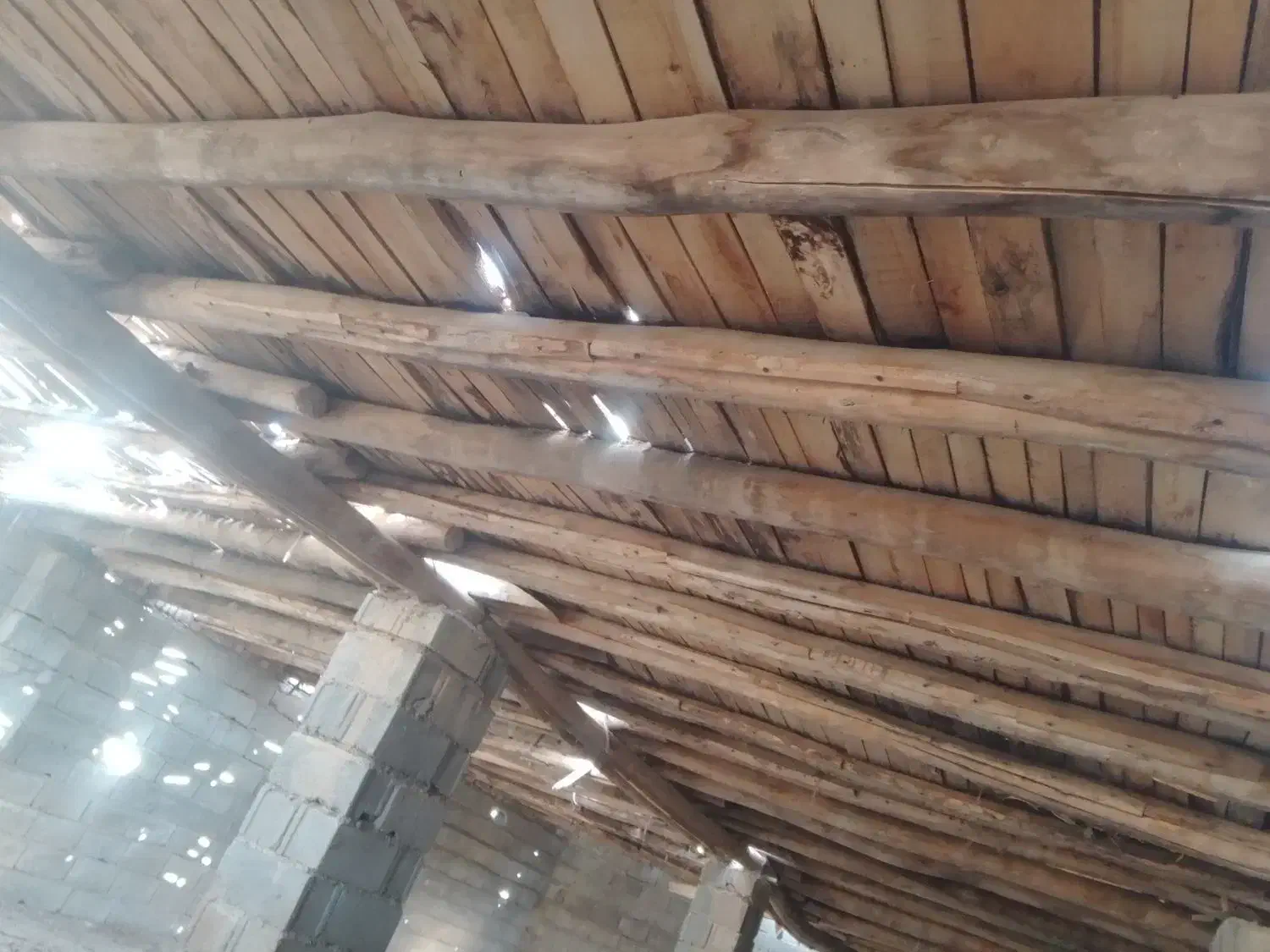 تیر چوبی سقف|مصالح و تجهیزات ساختمان|بستان آباد, |دیوار