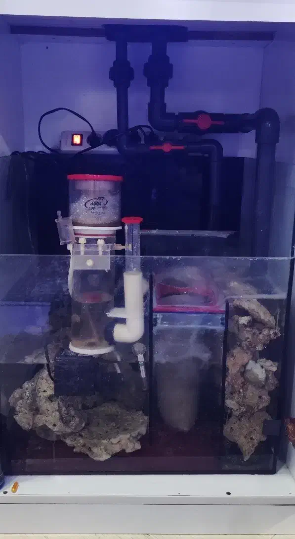 آکواریوم ریملکس حرفه ای|ماهی|اندیشه, شهرک مریم|دیوار