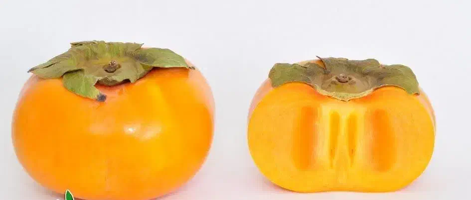 پیشفروش نهال خرمالو فویو دوساله|خدمات باغبانی و درختکاری|گهواره, |دیوار