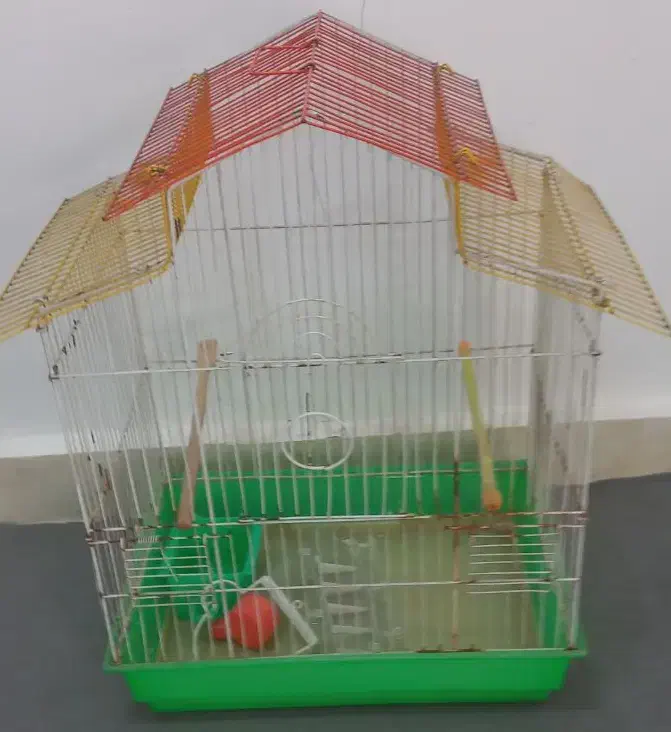 قفس پرنده در حد نو|لوازم جانبی حیوانات|شوش, |دیوار